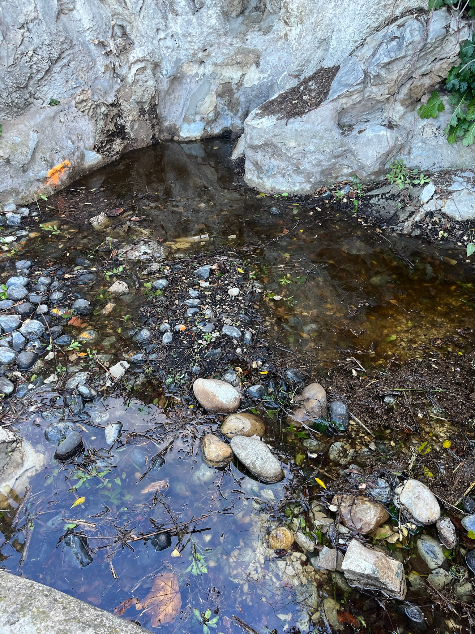 Chantier Roucas - Photo 65